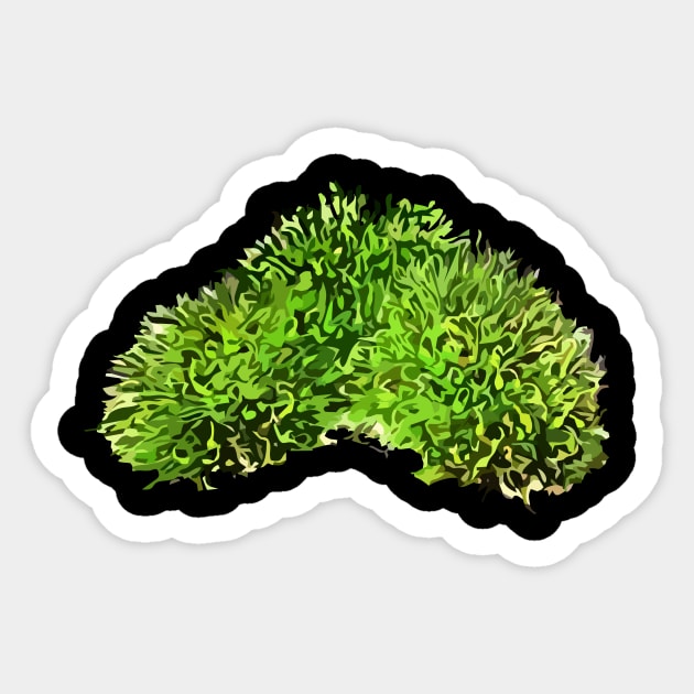 Moss (Bryopsida) Sticker by RosArt100